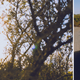 Illustration for article titled How I Ended Up On A Gravel Ridge Road In An Alfa Romeo 4C
